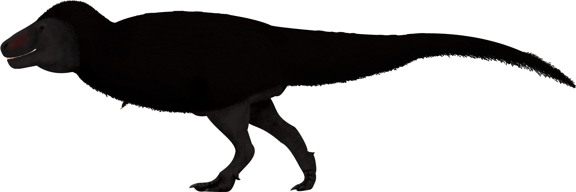 Here You Can Find The Artist's Who Drew The Deinocherus - Zoo Tycoon 2 Tyrannosaurus Rex Feathers (2500x1500), Png Download