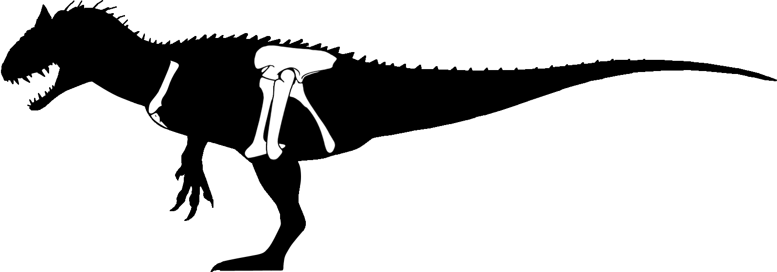 Indominus Rex Skeletal - Indominus Rex Silhouette (1598x559), Png Download