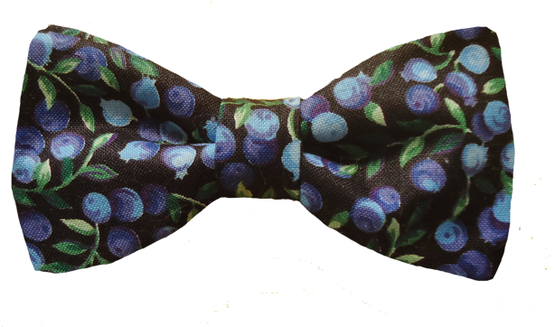 Blueberries For Sal - Paisley (640x389), Png Download