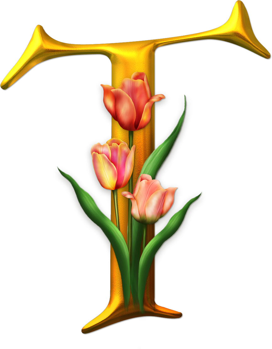 Marcos Gratis Para Fotos, Marcos Gratis, Frame Free, - Plants Alphabet Letter I Transparent (866x1112), Png Download