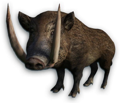 Boar Png - Dzik Png (423x372), Png Download