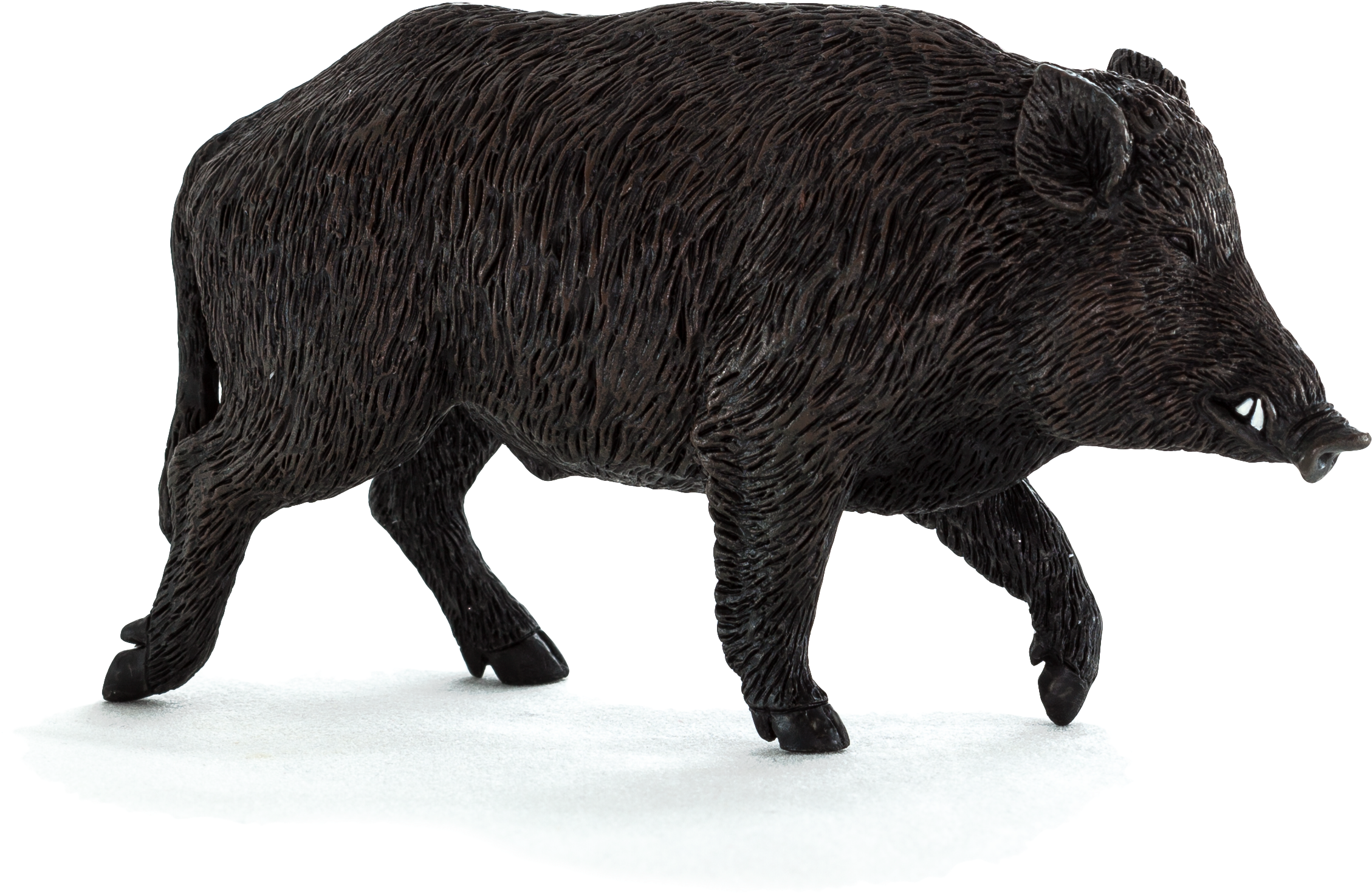 Wild Boar Toys (5616x3744), Png Download