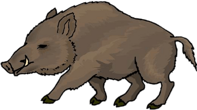 Boar Drawing - Wild Boar Clip Art (400x400), Png Download