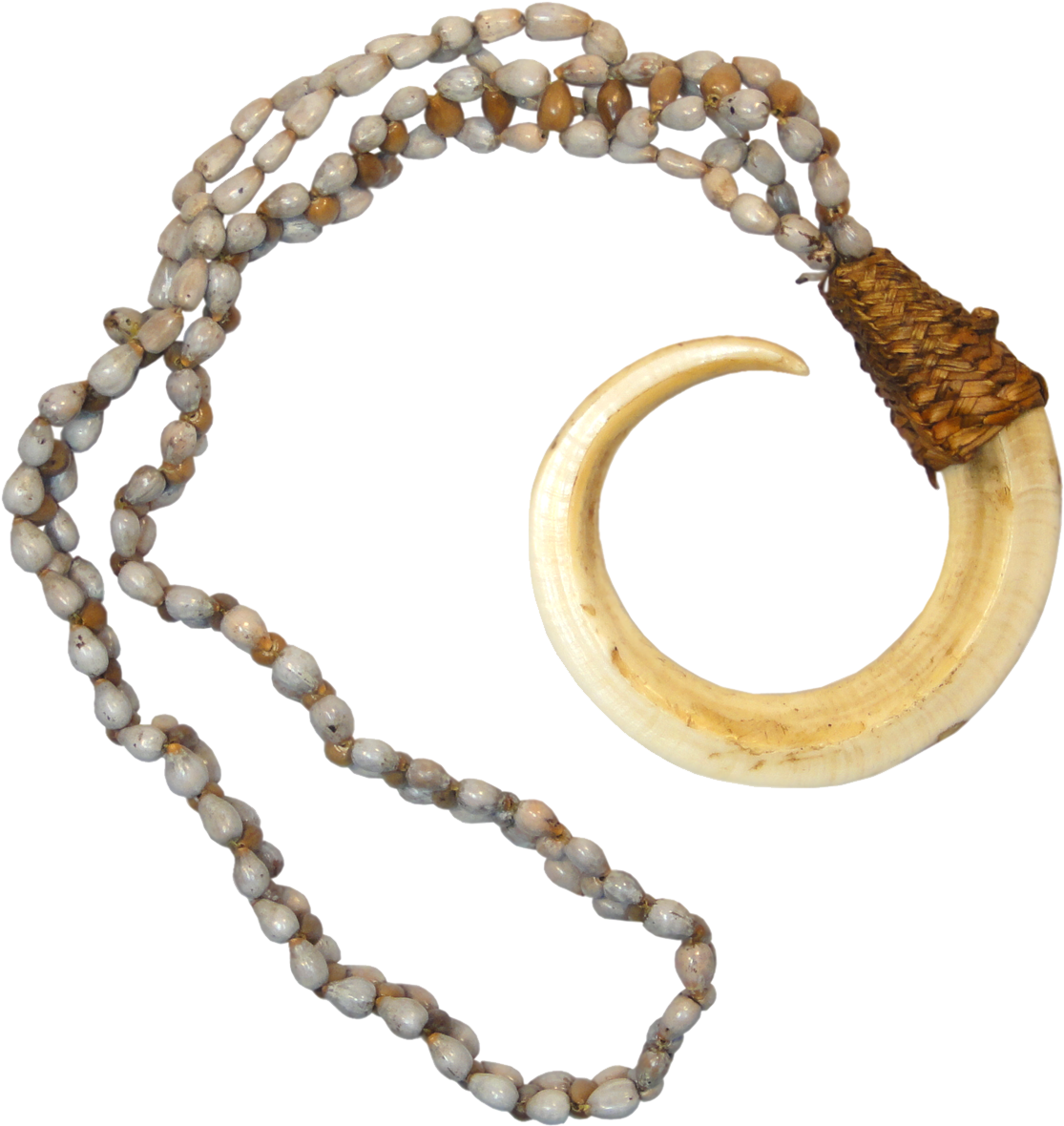 Papua New Guinea, Bena-bena Tribe, Boar Tusk On A String - Papua New Guinea Boar Tusk (1181x1181), Png Download