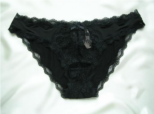 Description - Panties (500x500), Png Download