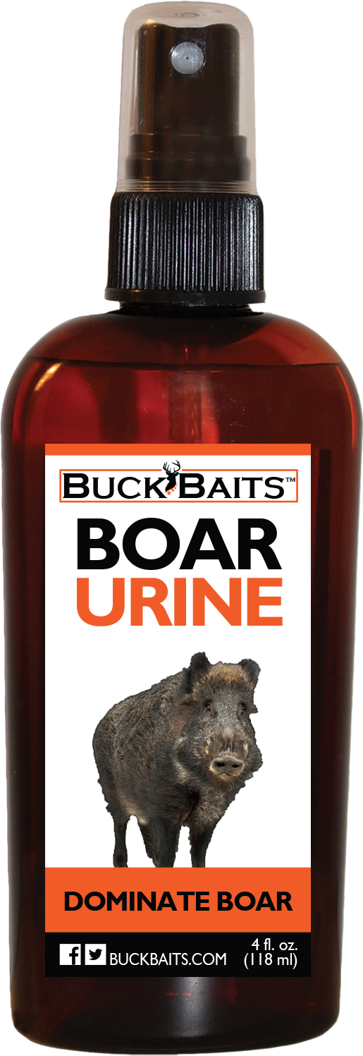 Boar V=1538602398 - Buck Baits Dominate Bear Urine 4 Oz. (1500x1500), Png Download