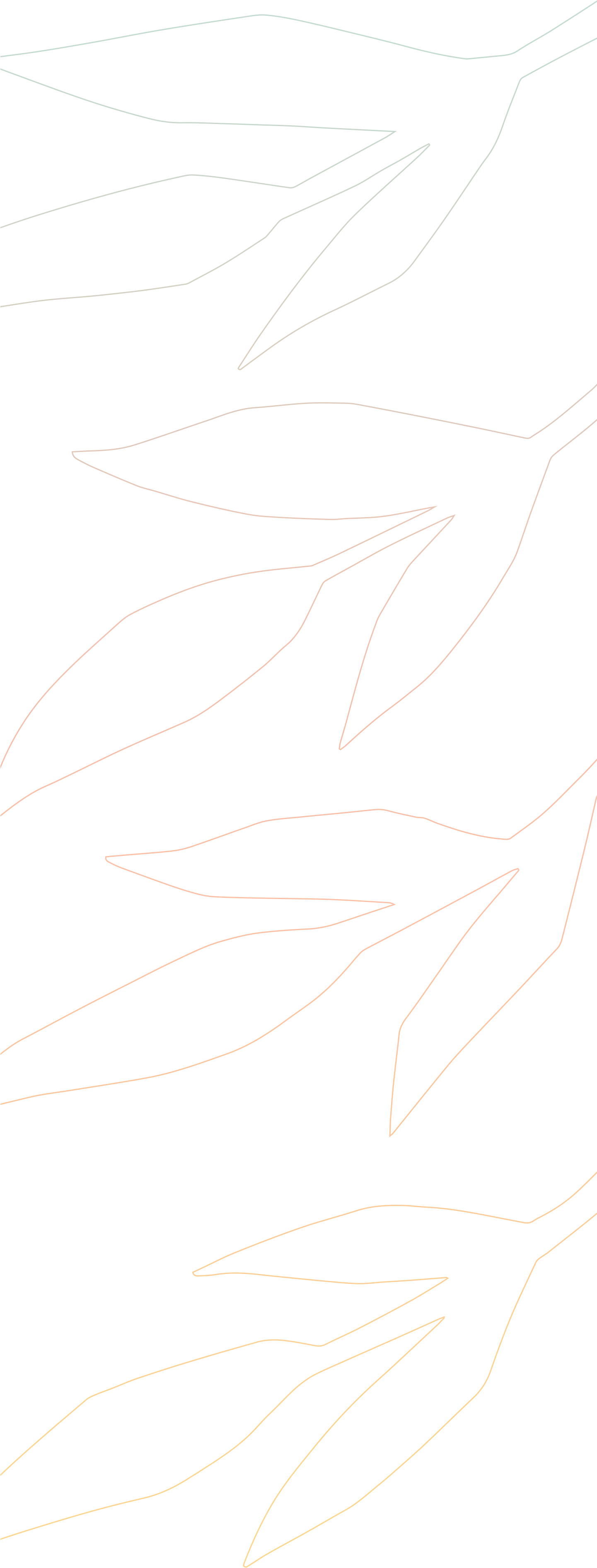 Sketch (1440x4017), Png Download