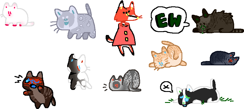 Recent Images - Cat (878x398), Png Download