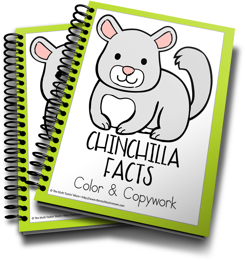 Chinchilla - Minecraft Stationery (900x983), Png Download
