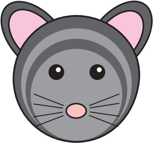 Animaru Chinchilla - Cat (800x800), Png Download