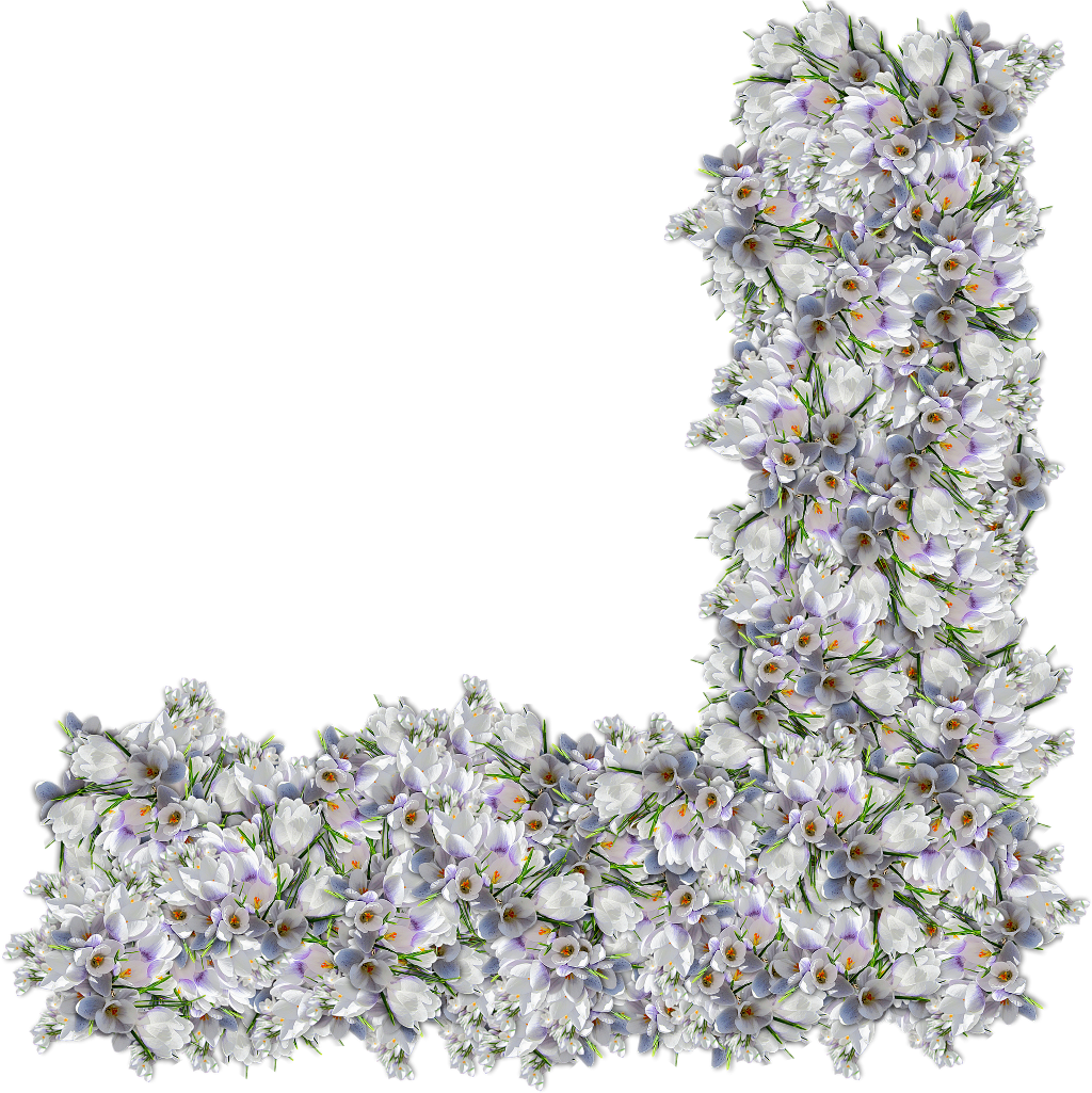 Border Nature Divider Flower Flower Floral Interesting - Scraps Png (1024x1025), Png Download