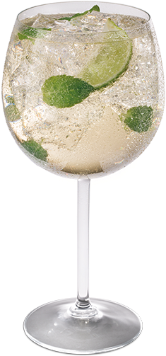 Teissiere Hugo Png - Gin And Tonic (346x535), Png Download