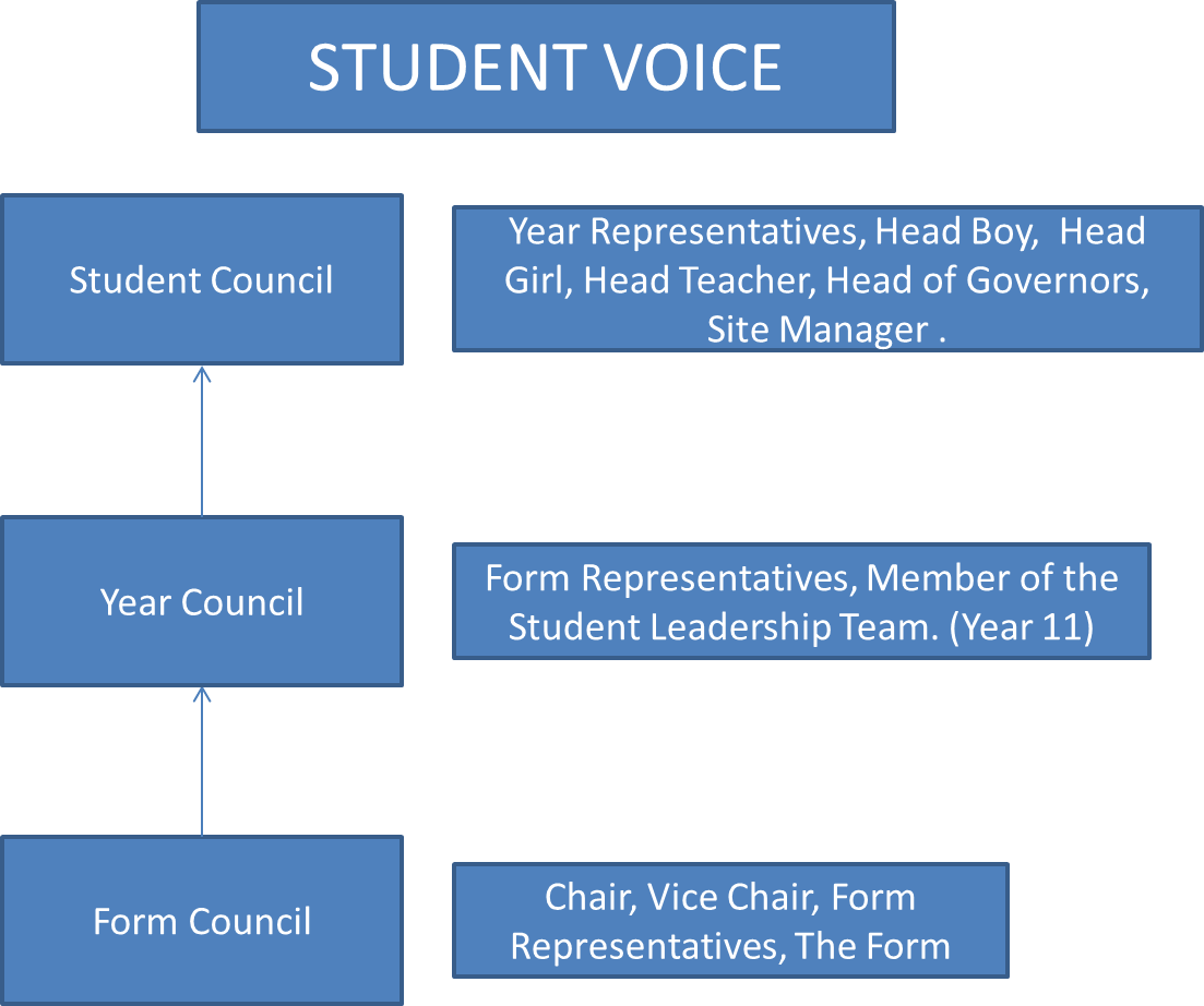 Court Moor Student Voice - Student Court (1103x922), Png Download