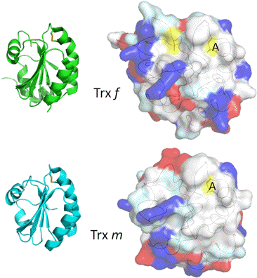 Figure - Figure-four (391x422), Png Download