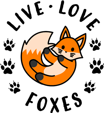 Live Love Foxes Transparent (396x477), Png Download