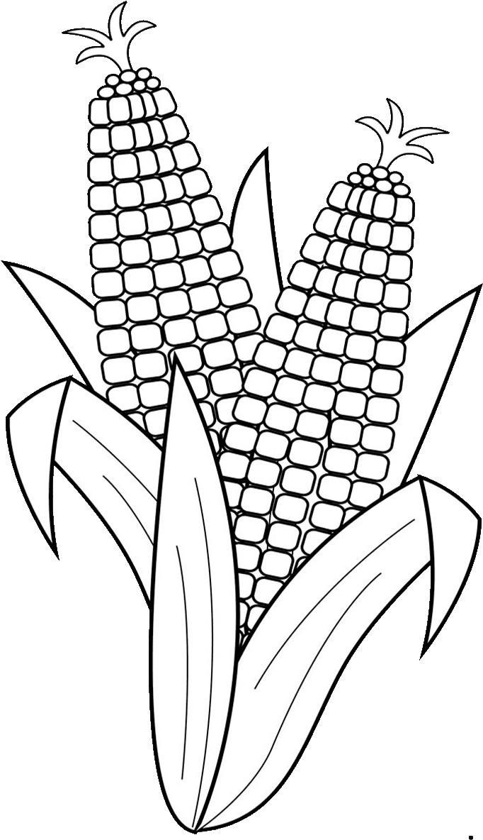 19 Corn Clip Black And White Drawing Huge Freebie Download - Fruits And Vegetables Clipart Black And White (720x1280), Png Download