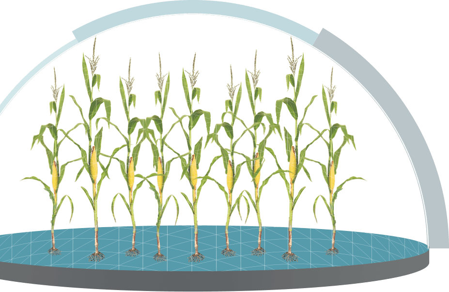 Control Weeds With Glyphosate Applications - Drawing (927x603), Png Download