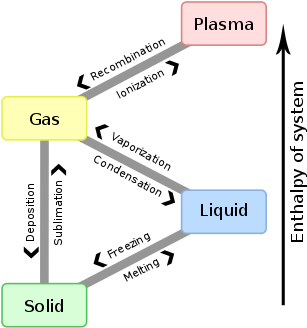 Label The Indicated Parts In This Diagram Of A Chloroplast - Phase Transition (340x361), Png Download