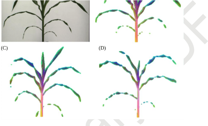 Segmentation And Visualization Of Variation In Hyperspectral - Drawing (850x424), Png Download