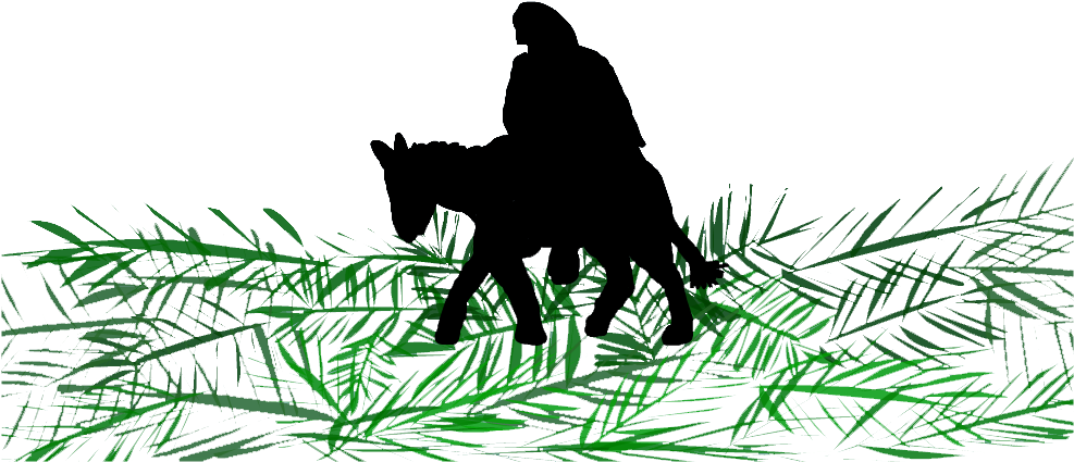 Palm Sunday - Palm Trees (986x501), Png Download