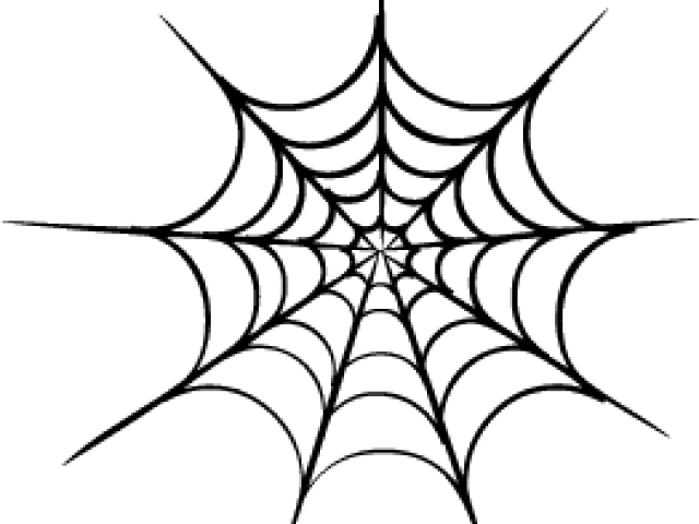 Spider Web Vector Png (640x480), Png Download