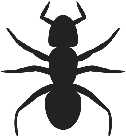 Shadow Clipart Spider - Ant Clip Art (500x500), Png Download