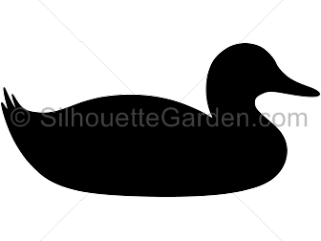 Download Duck On Water Silhouette Full Size Png Image Pngkit