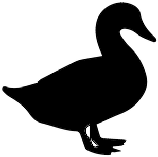Southern Maryland Duck Producers - Duck Layer Vector Silhouette (600x600), Png Download