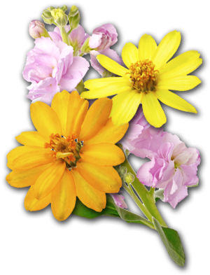 Rock Hill, Sc Garden Center - Artificial Flower (312x403), Png Download