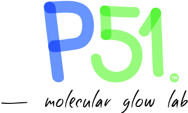 Discover Dna Structure Hands-on - Website (492x312), Png Download