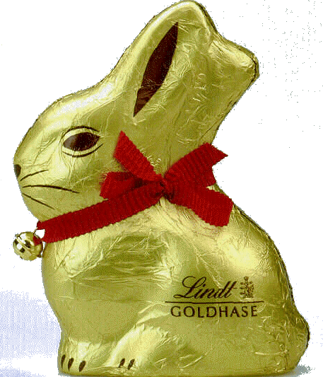 Domestic Rabbit (457x533), Png Download
