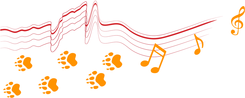 Music Notes And Tiger Paws (1100x329), Png Download