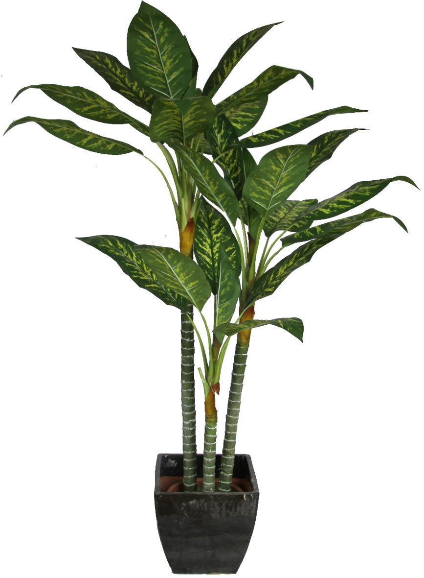 Office Plant Png For Kids - Plant Cut Out Png (900x1297), Png Download