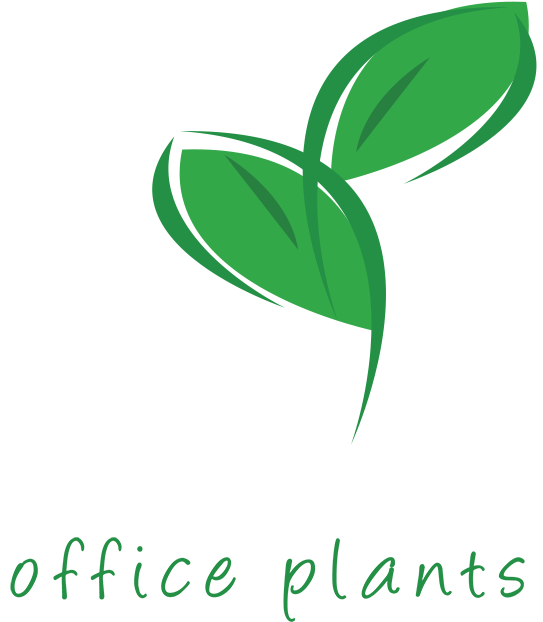 Eco Office Plants Logo - Logo (800x791), Png Download