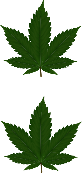Marijuana Leaf Design Png (282x594), Png Download