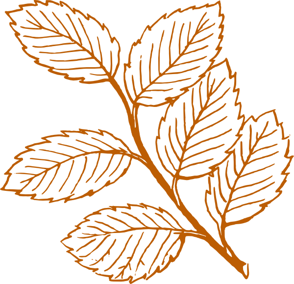 Burnt Orange Leaves Clip Art At Clker Com Vector Clip - Leaves Clip Art (600x579), Png Download