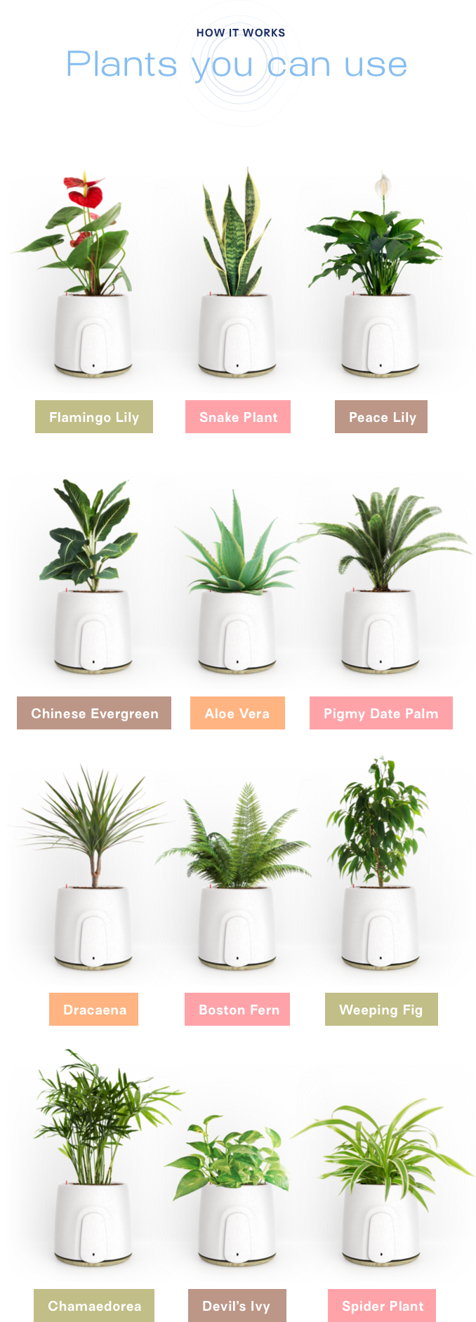 Air Purifier To Add An Extra Touch Of Design To Your - Portable Network Graphics (678x1883), Png Download