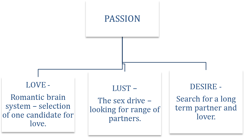 Url, Http - //journals - Openedition - - Passion (848x481), Png Download