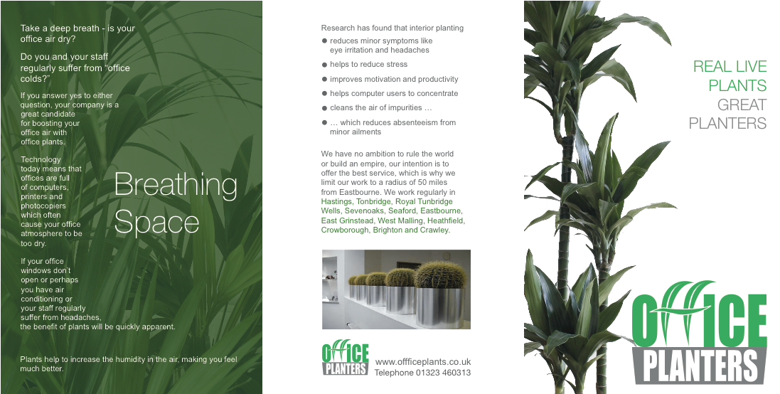 Plantation (1104x553), Png Download