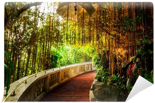Stair Way In Park With Gold Light Wall Mural • Pixers® - Photograph (400x400), Png Download