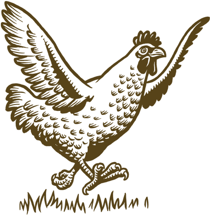 Why Choose Frenz Free Range Eggs - Chicken (600x585), Png Download