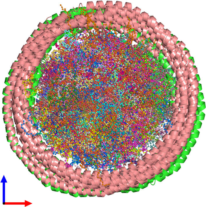 Pdb 2msc Coloured By Chain And Viewed From The Front - Circle (800x800), Png Download