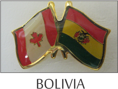 Flag Lapel Pins - Lapel Pin (480x480), Png Download