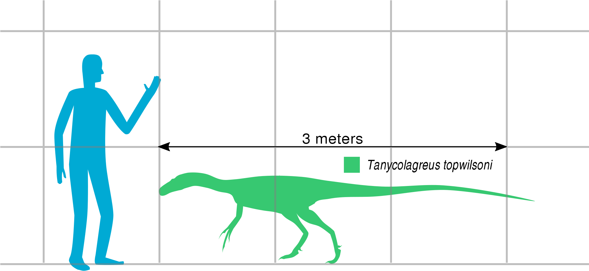 File - Tanycolagreus Scale - Svg - Hypsilophodon (1960x1080), Png Download
