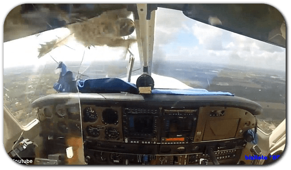 Cockpit Of The Week - Parabrisas De Un Avion (750x350), Png Download