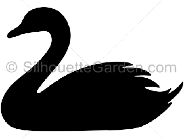 Png Swan Silhouette (640x480), Png Download