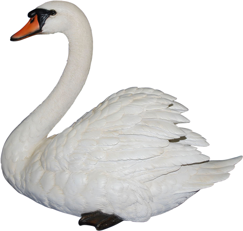Swan Png - Vivid Arts Swan (1299x870), Png Download
