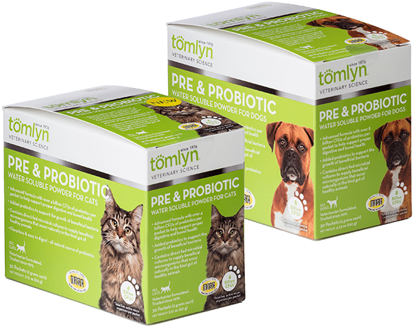 Probiotic (800x534), Png Download