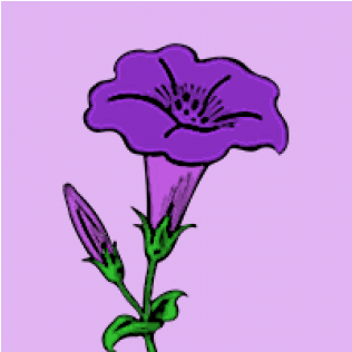 Petunia 1-600x315 - Clip Art Morning Glory Logo (600x315), Png Download