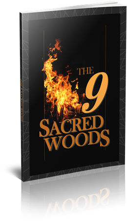 6db58728cb091489381184 9 Sacred Woods Cover 3 Edited - Samhain (325x500), Png Download